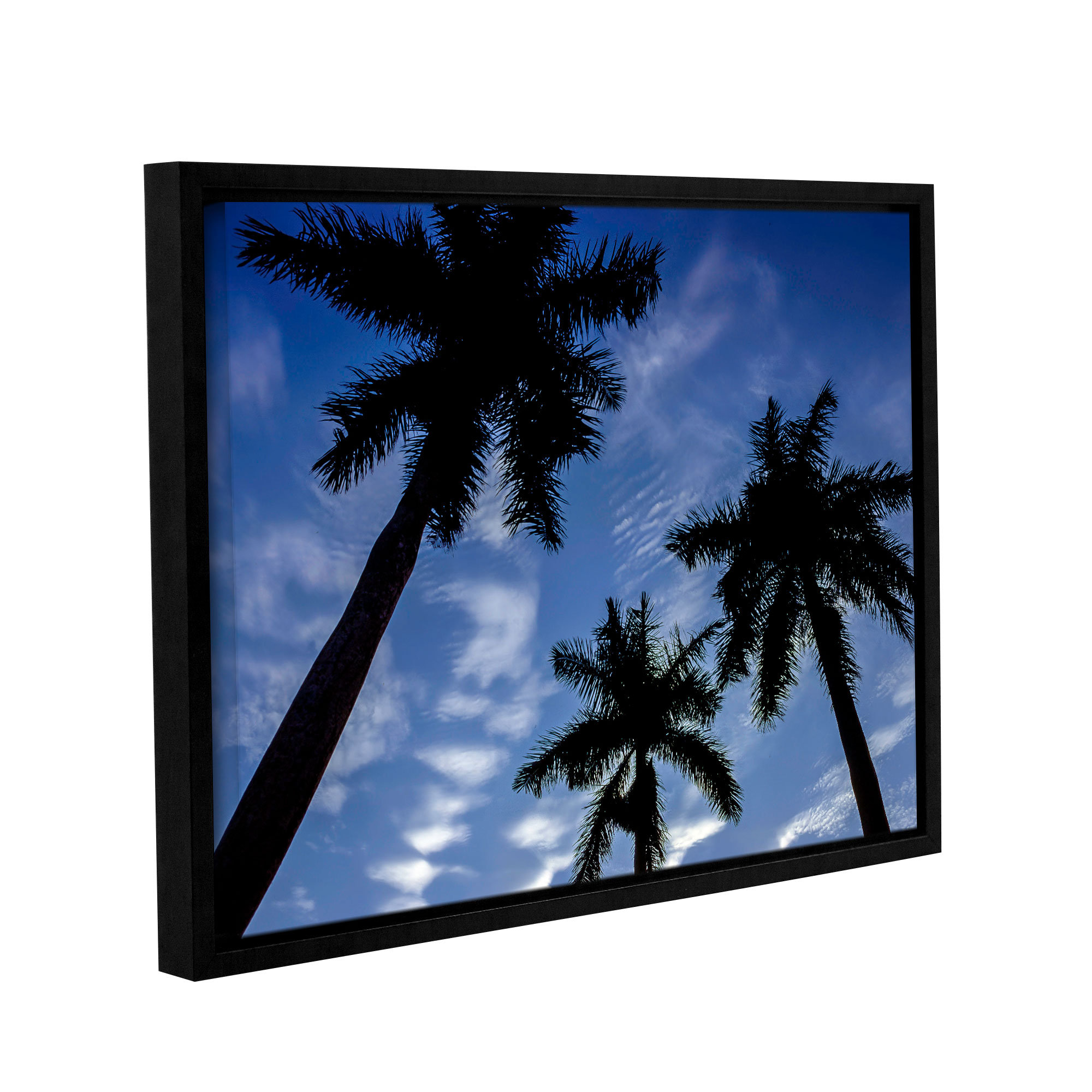 Ivy Bronx 'Palm Trees 01' Framed Photographic Print Wayfair